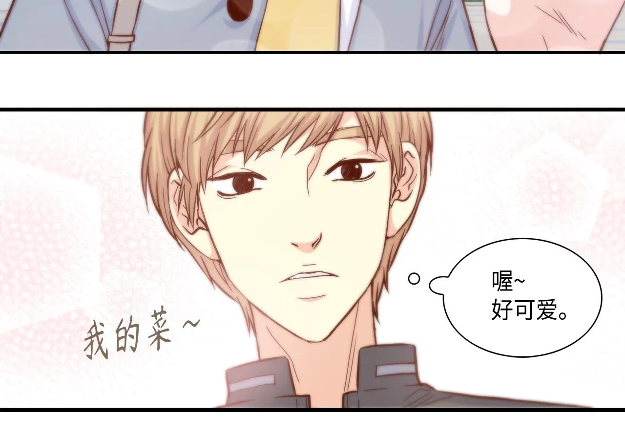 第35话 挡箭牌 第12页