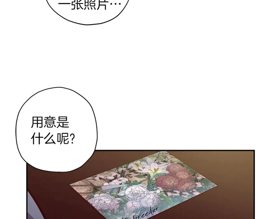 第17话 神秘照片 第66页