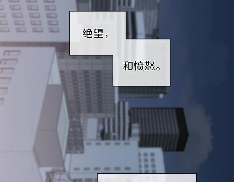 第31话 射杀令 第12页