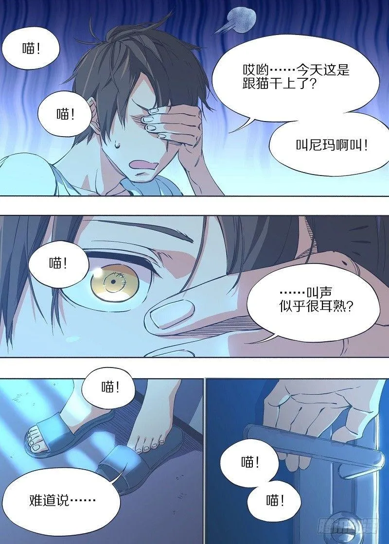 6.我养猫了！ 第3页