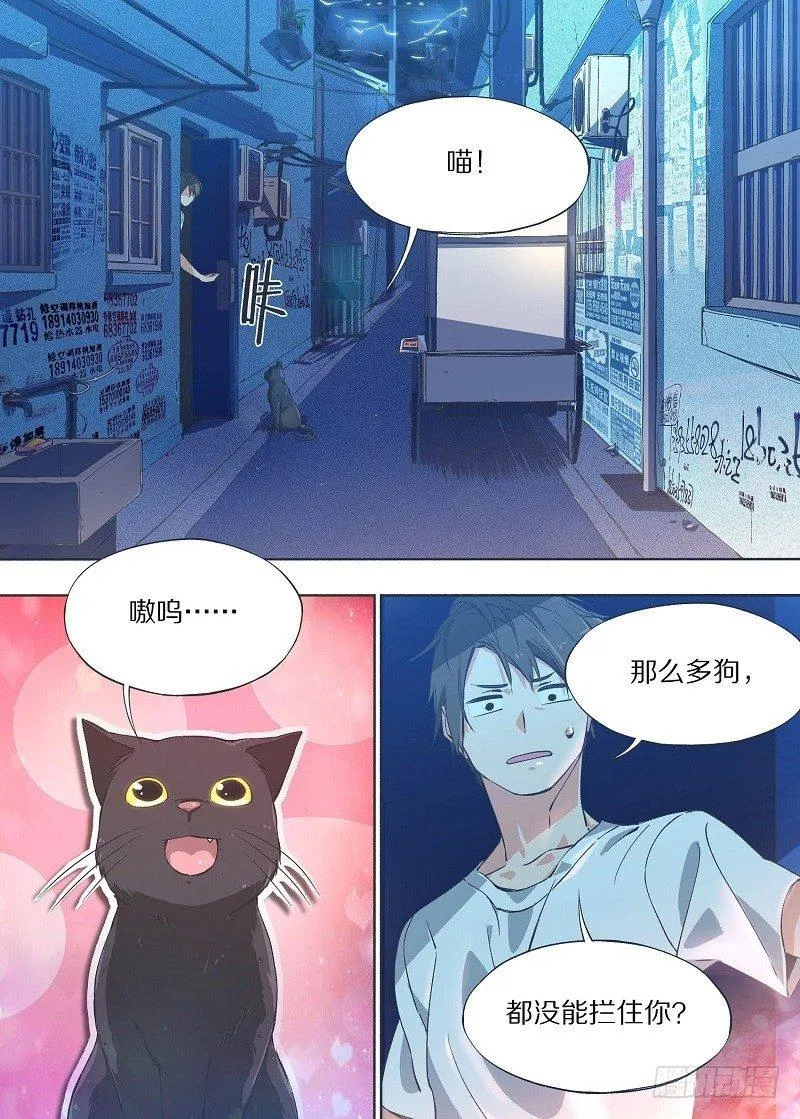 6.我养猫了！ 第4页