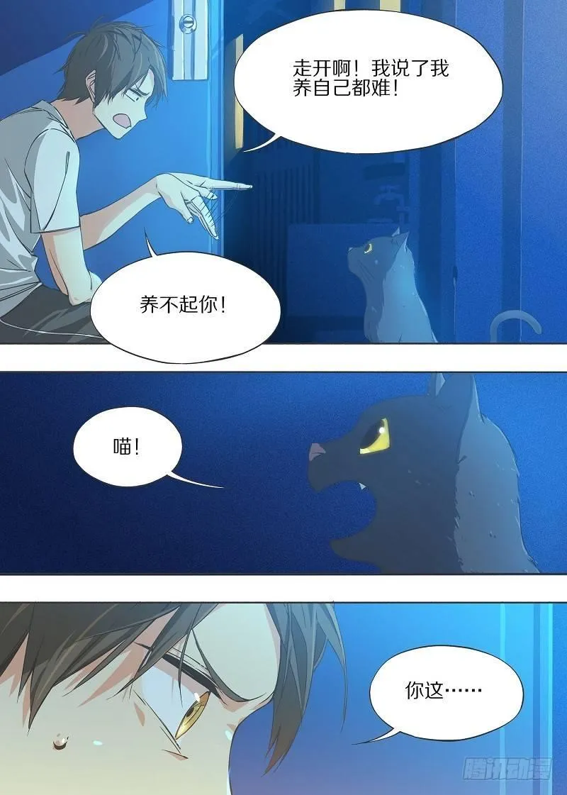 6.我养猫了！ 第5页