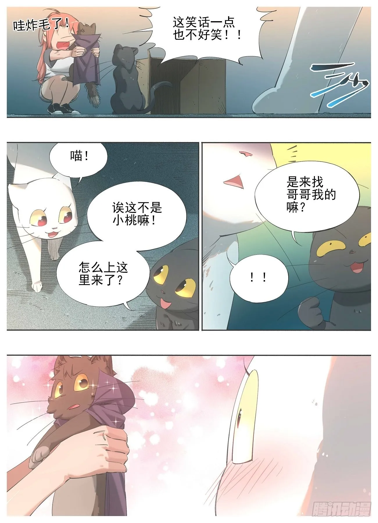 127.当猫挺好的 第8页