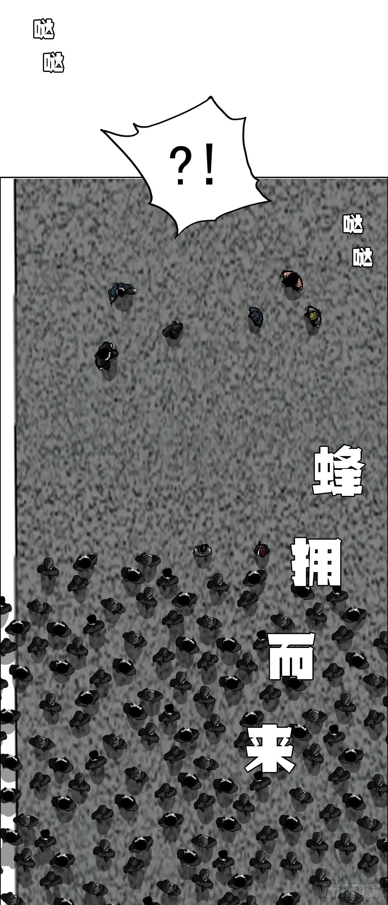 53.参见会长 第28页