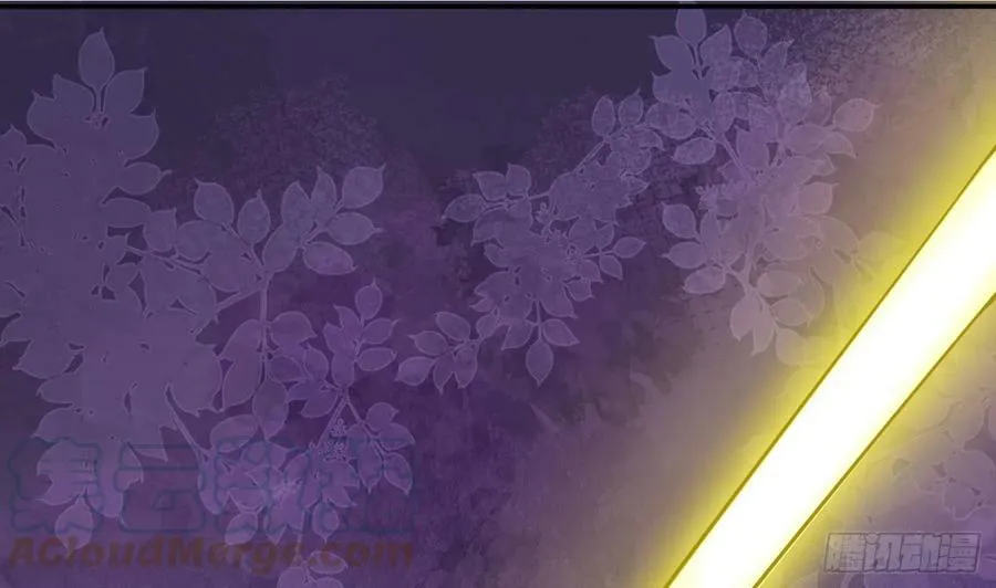 第146话 替师尊打脸 第25页