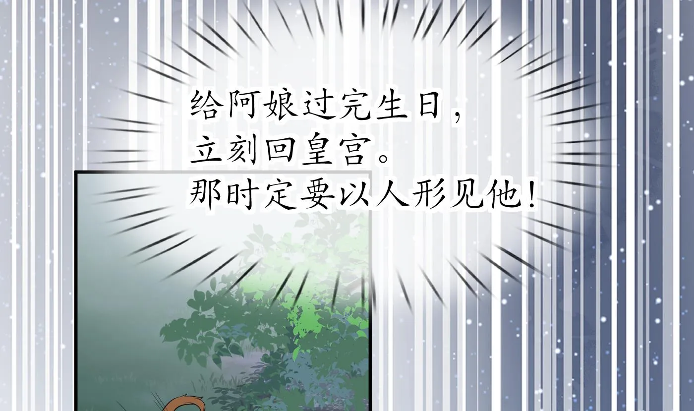 第75话 被动物占便宜了 第14页
