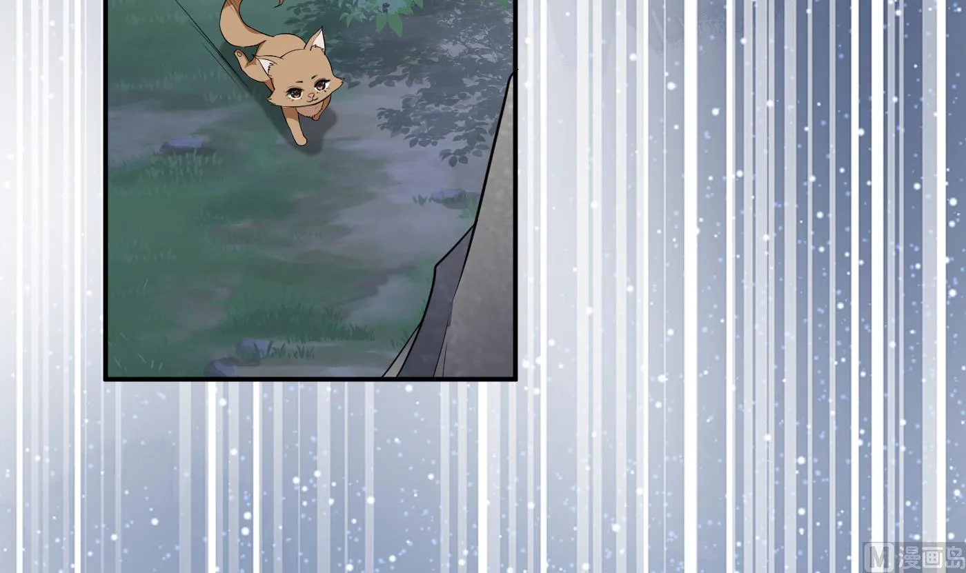 第75话 被动物占便宜了 第15页