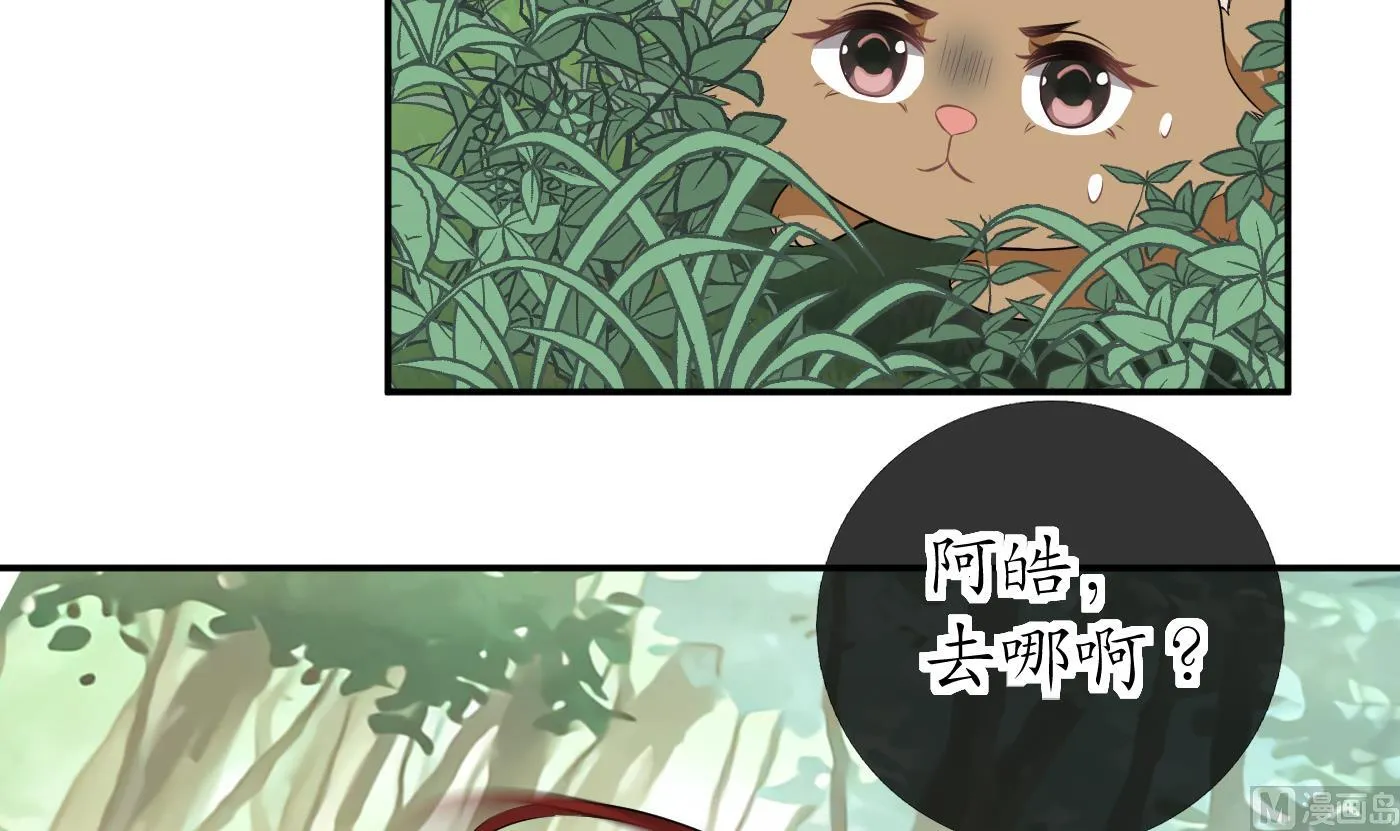 第75话 被动物占便宜了 第33页