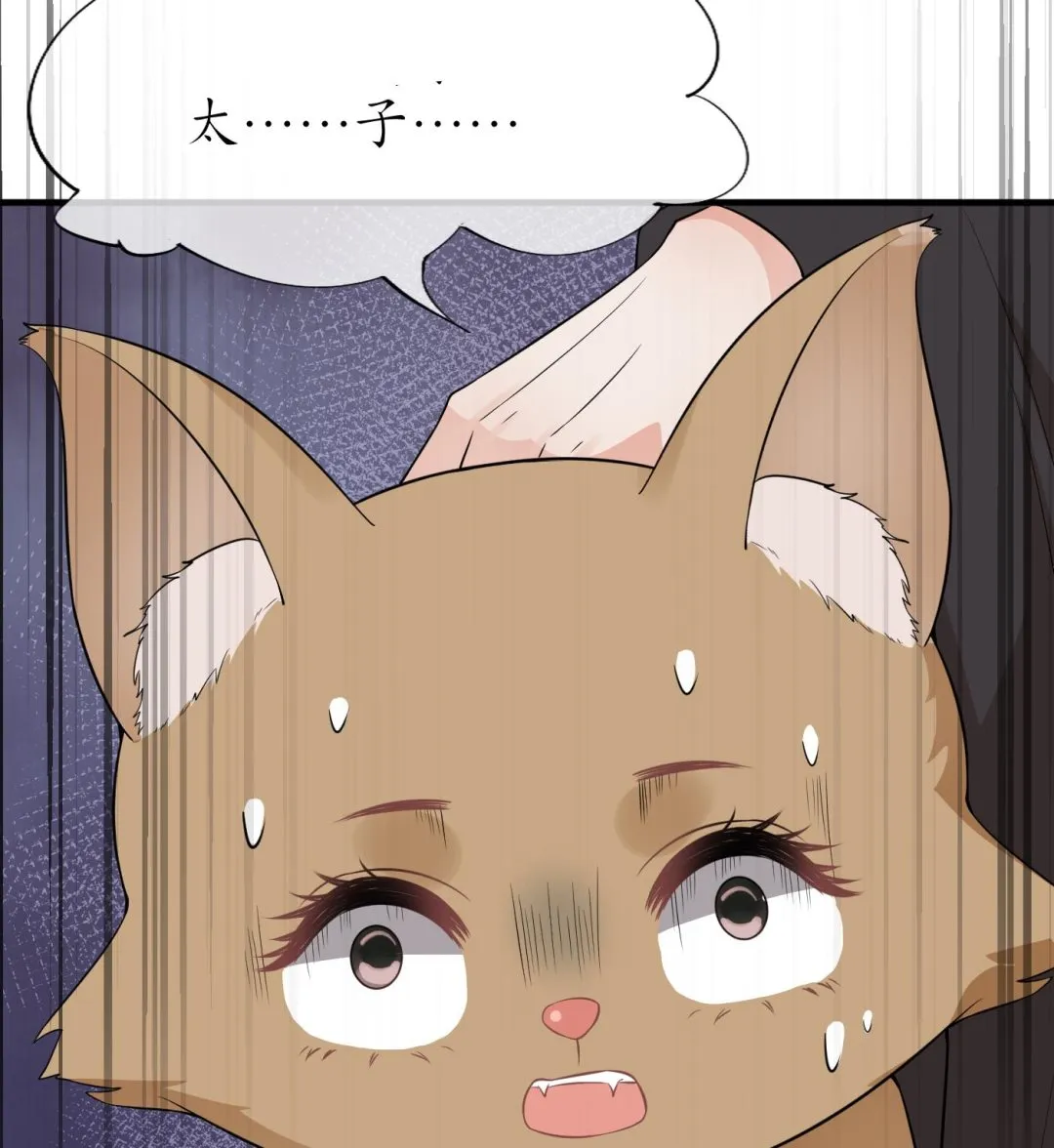第75话 被动物占便宜了 第46页