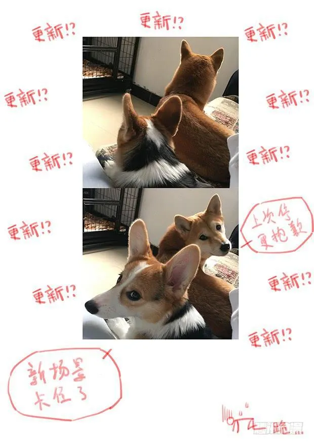 329 夺回自由 第17页