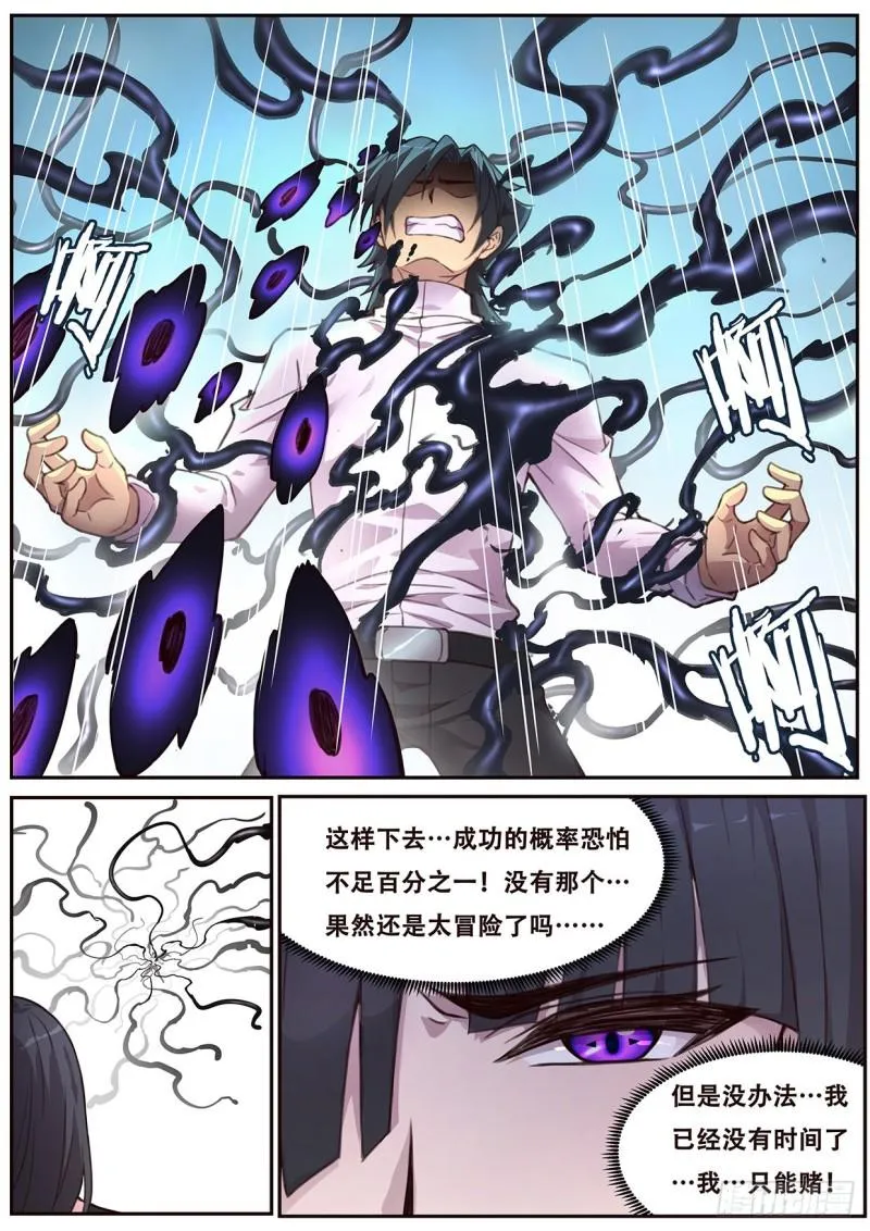 543 苏家 第12页
