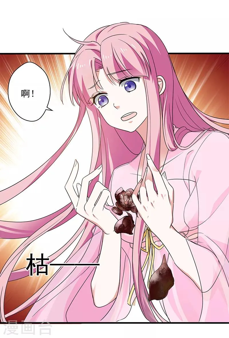 第19话 蔷薇花谢 第19页