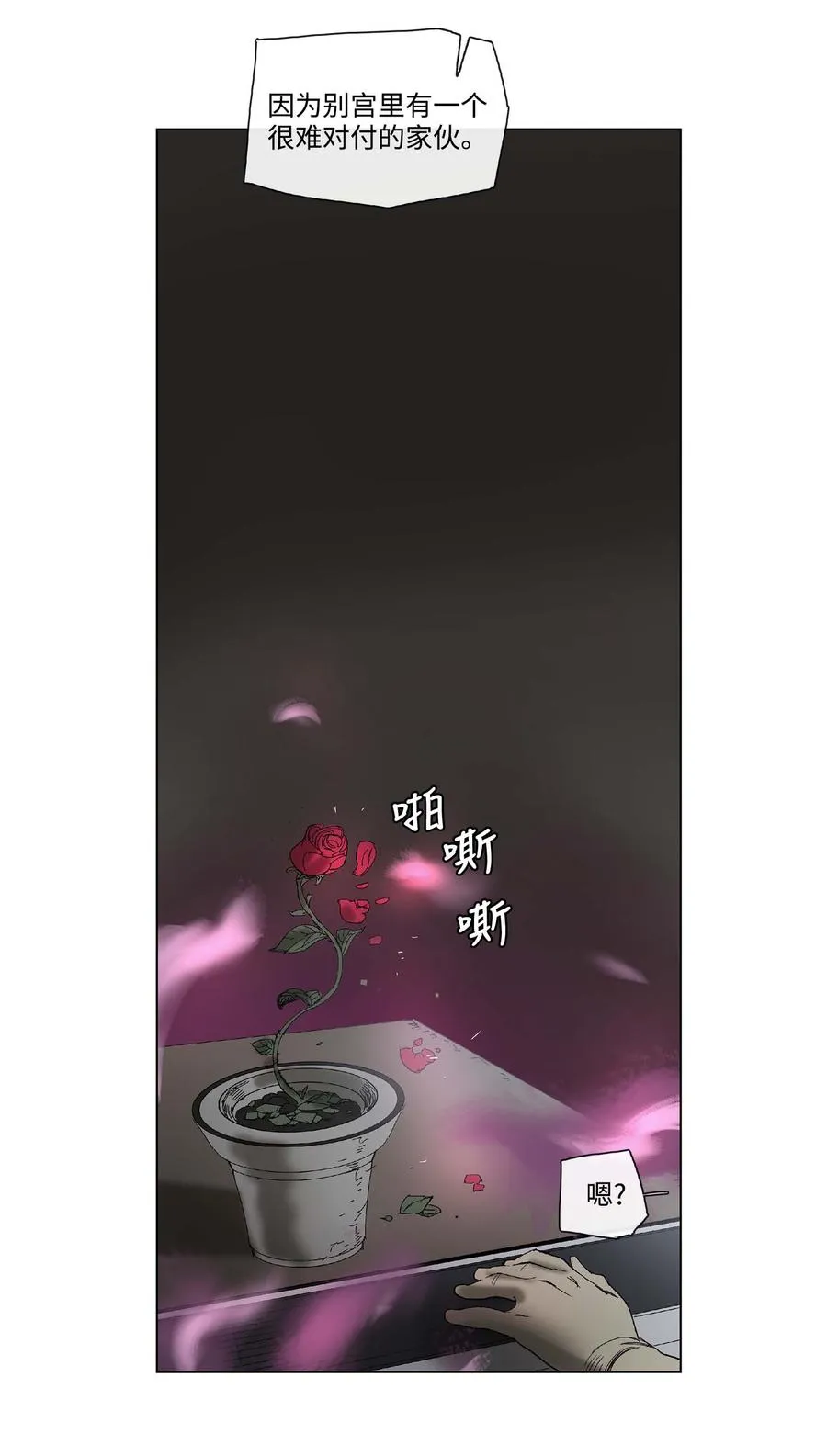 31 31 第39页