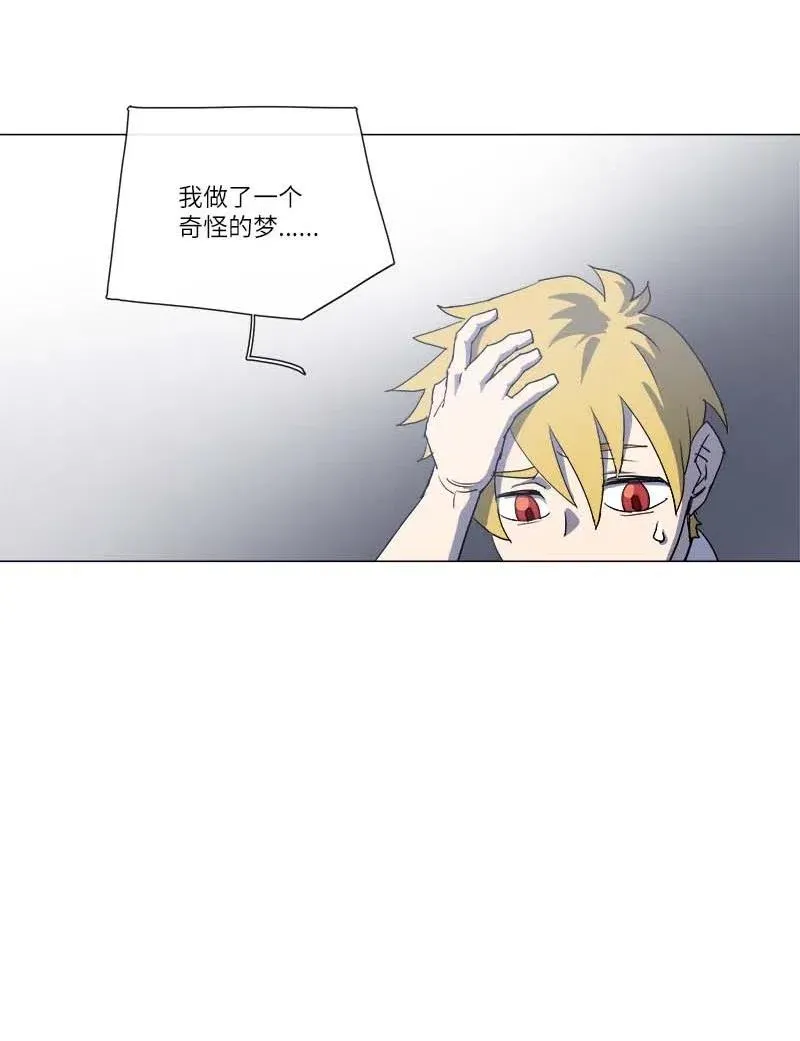 146 146 第41页