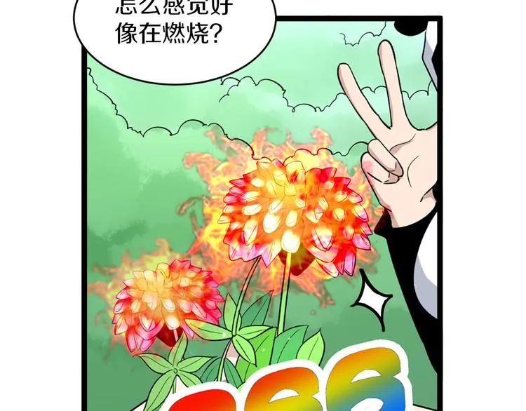 第151话 稀世灵花 第12页