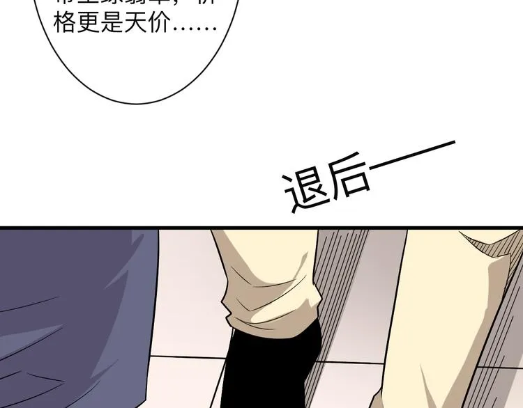 第231话 极品翡翠 第23页