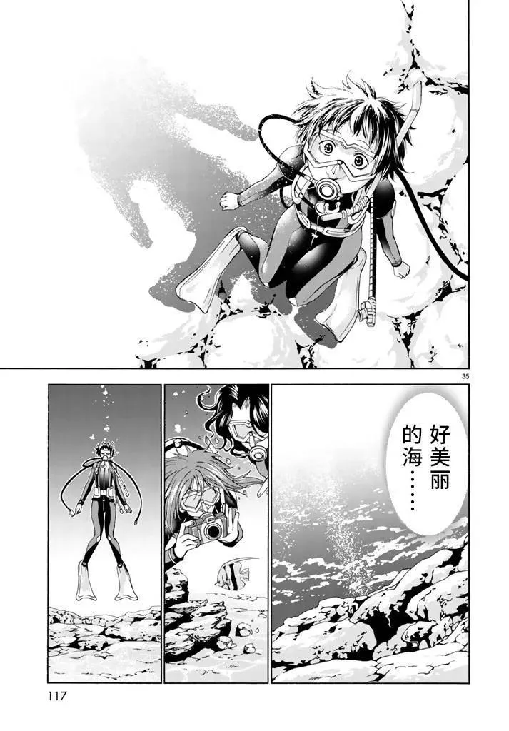 17 第35页
