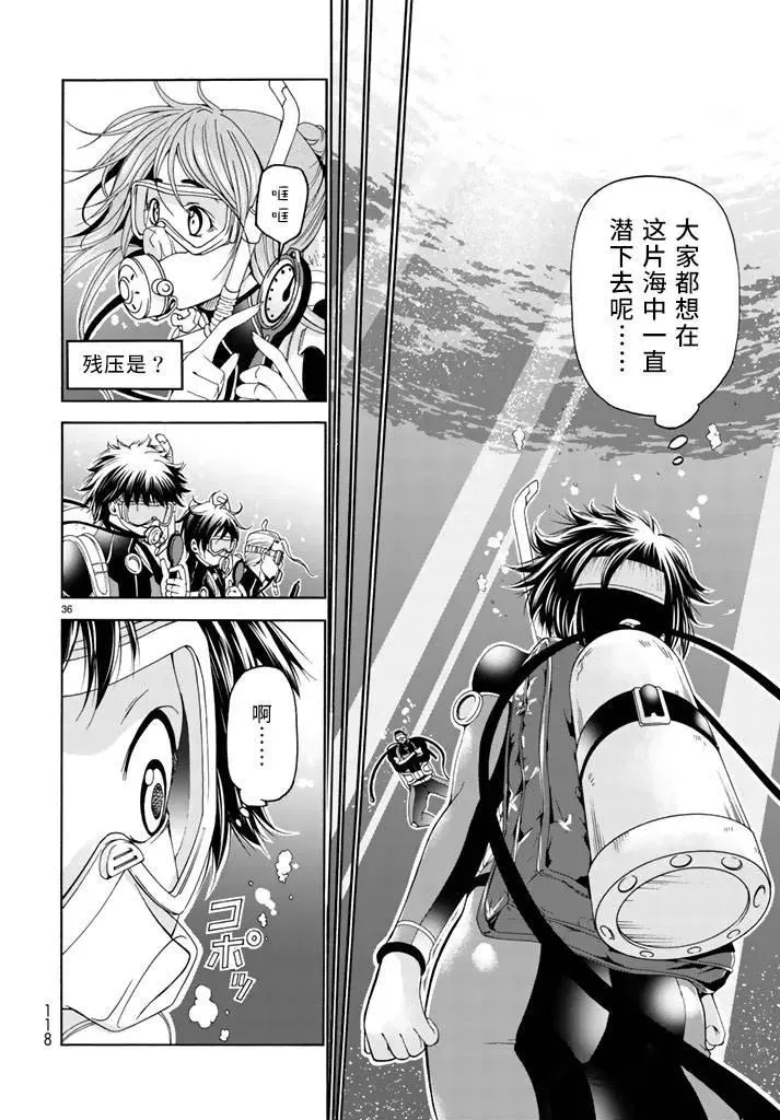17 第36页