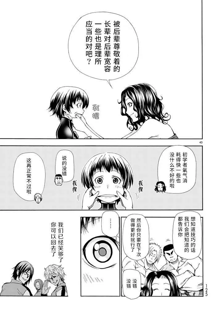 17 第43页