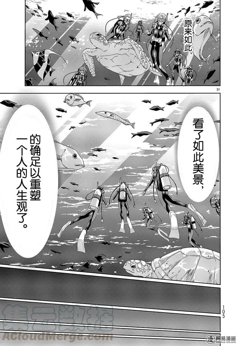 51 第31页