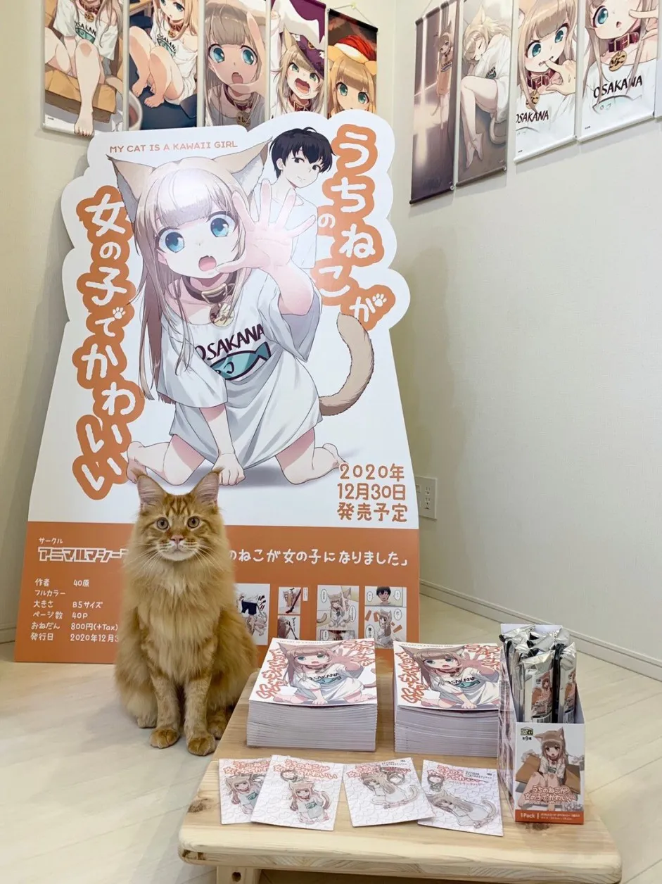杂图7 第11页