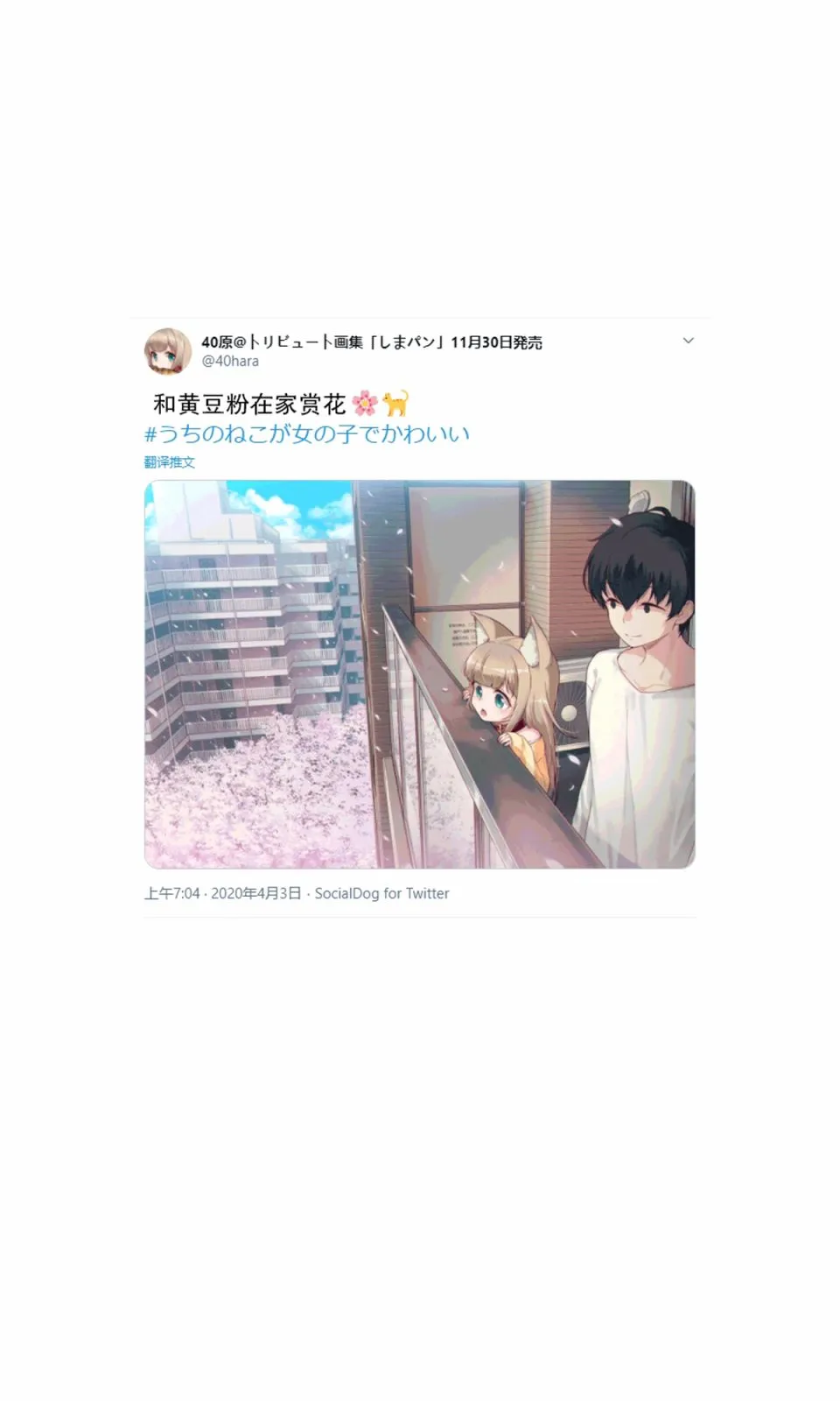 杂图4 第15页