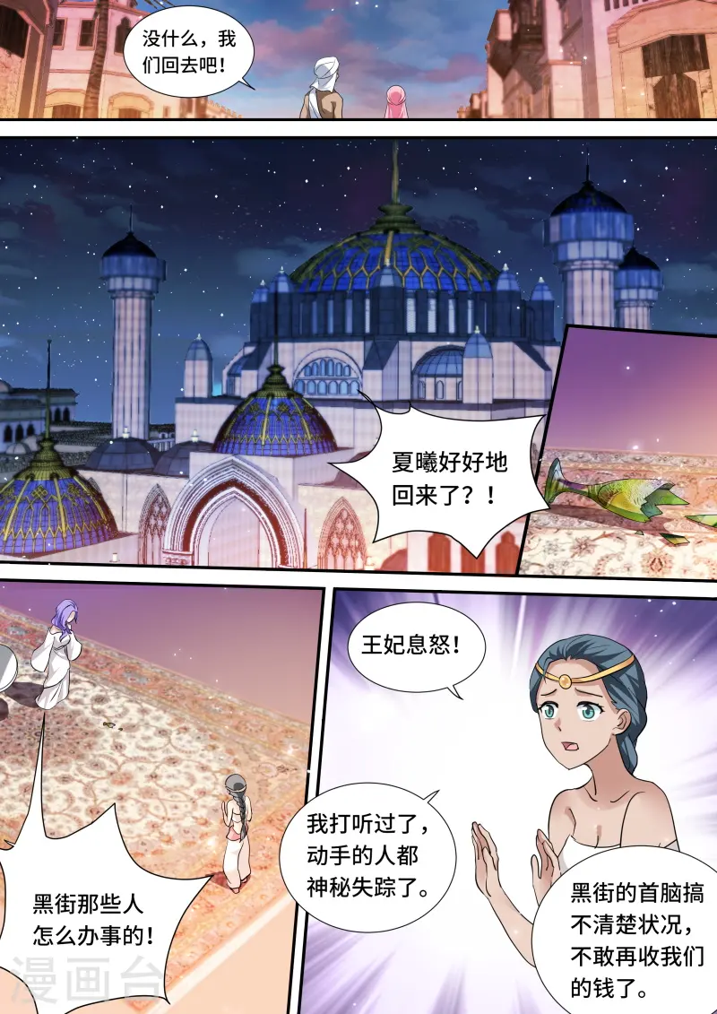 第206话 暗杀失败 第10页