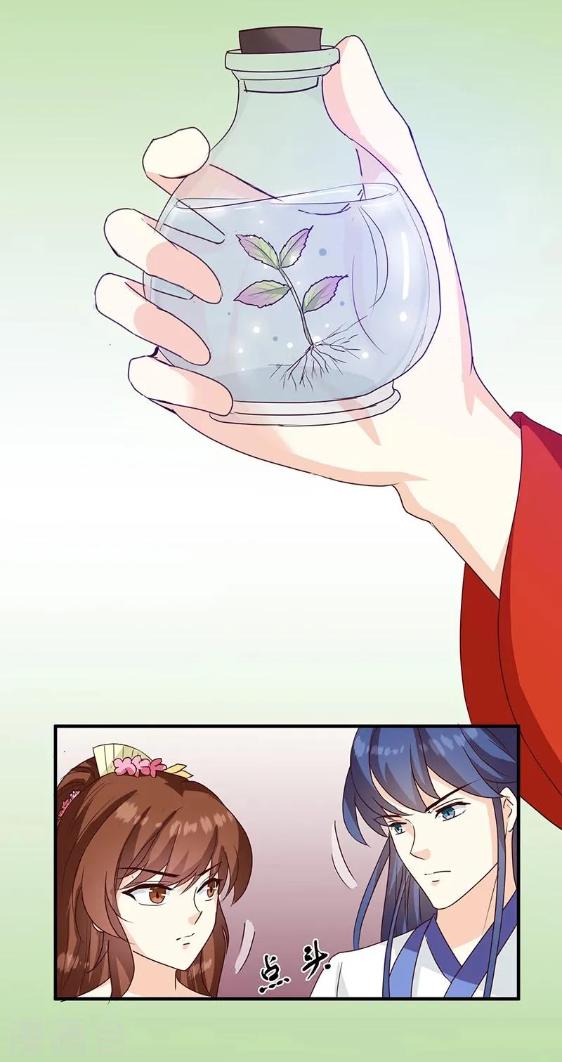 第126话 带你去药城 第7页
