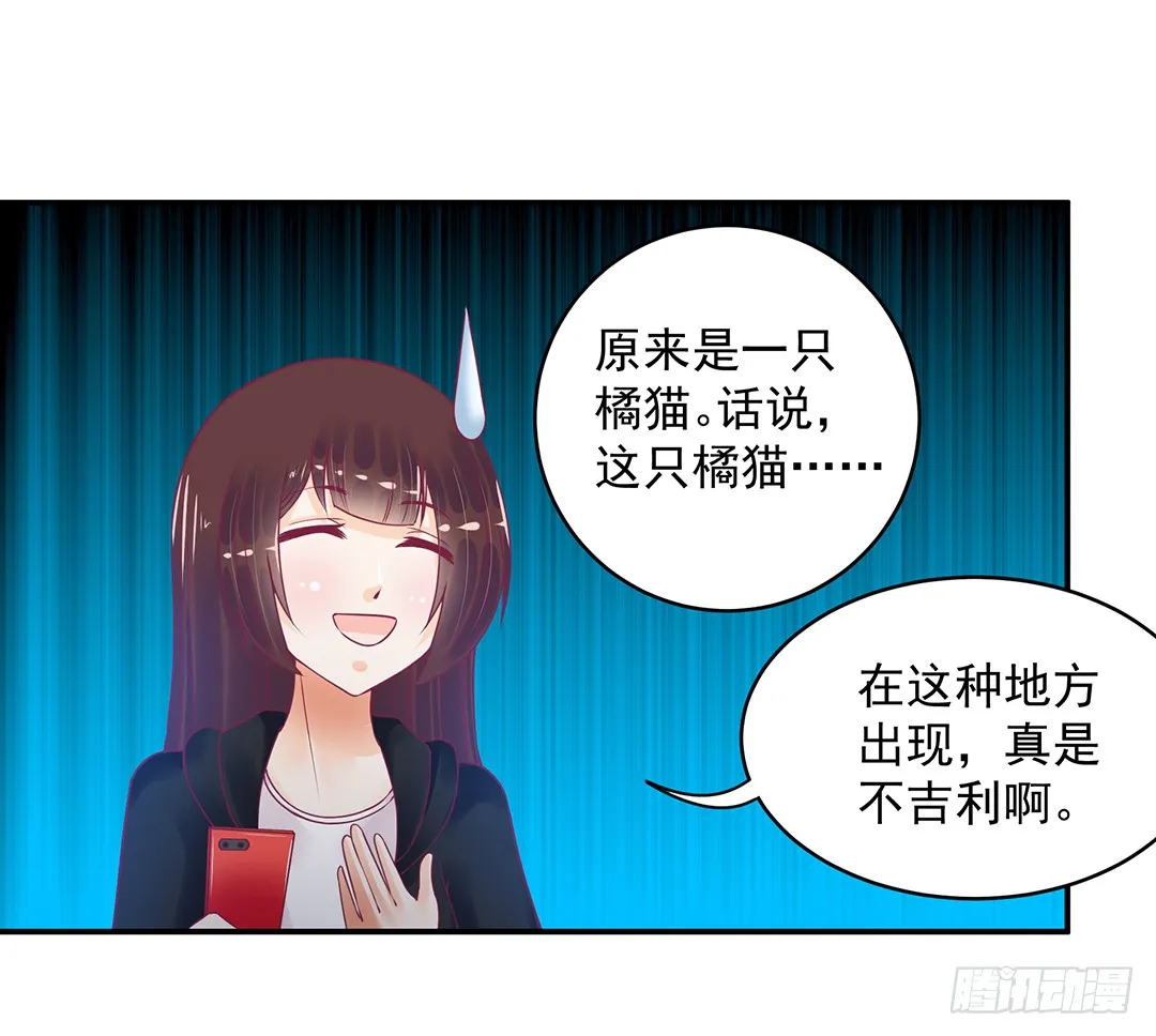 神秘的黑影…… 第17页
