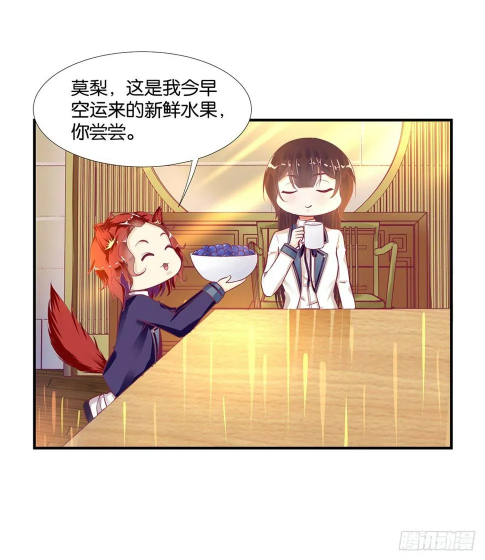 为你服务是我的荣幸！ 第14页