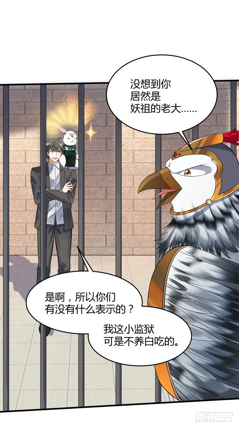 023 这兔子来历还不小啊 第25页
