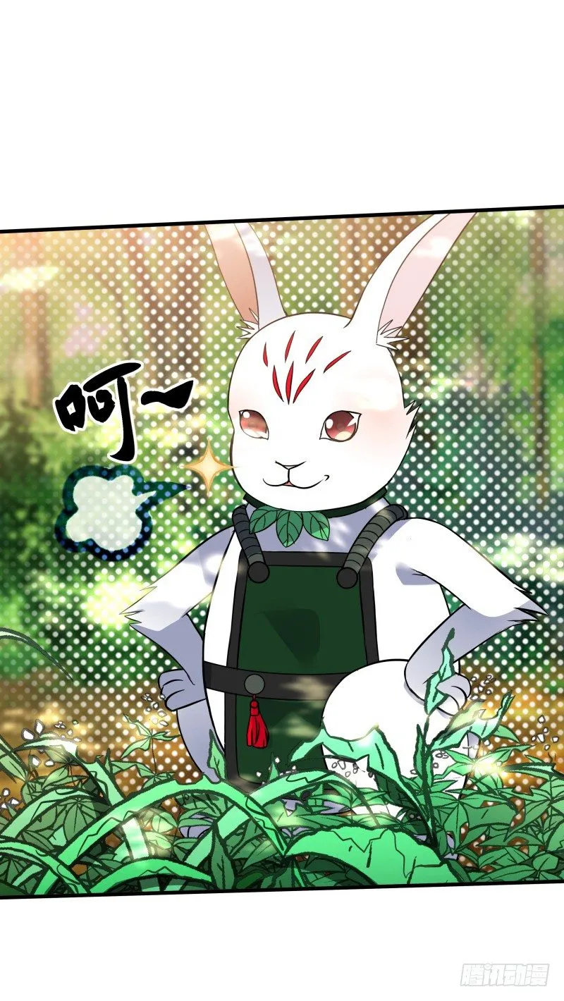 022 中午就吃干锅兔了 第3页