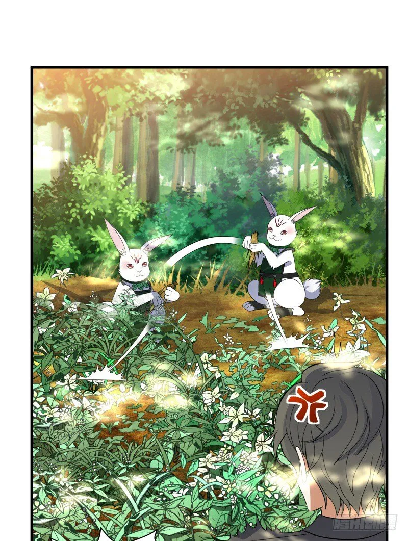 022 中午就吃干锅兔了 第4页
