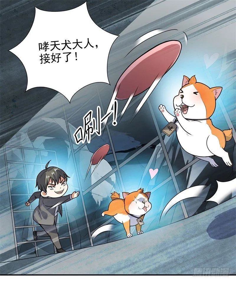 010 是条好狗 第11页