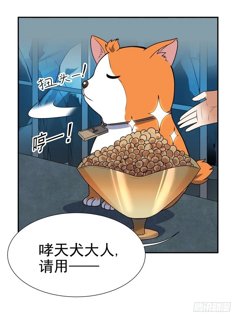 010 是条好狗 第13页