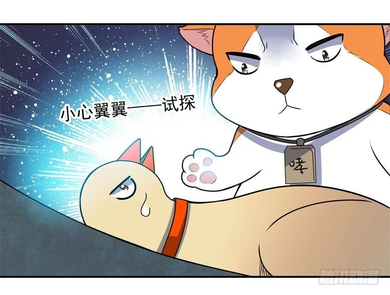 010 是条好狗 第15页