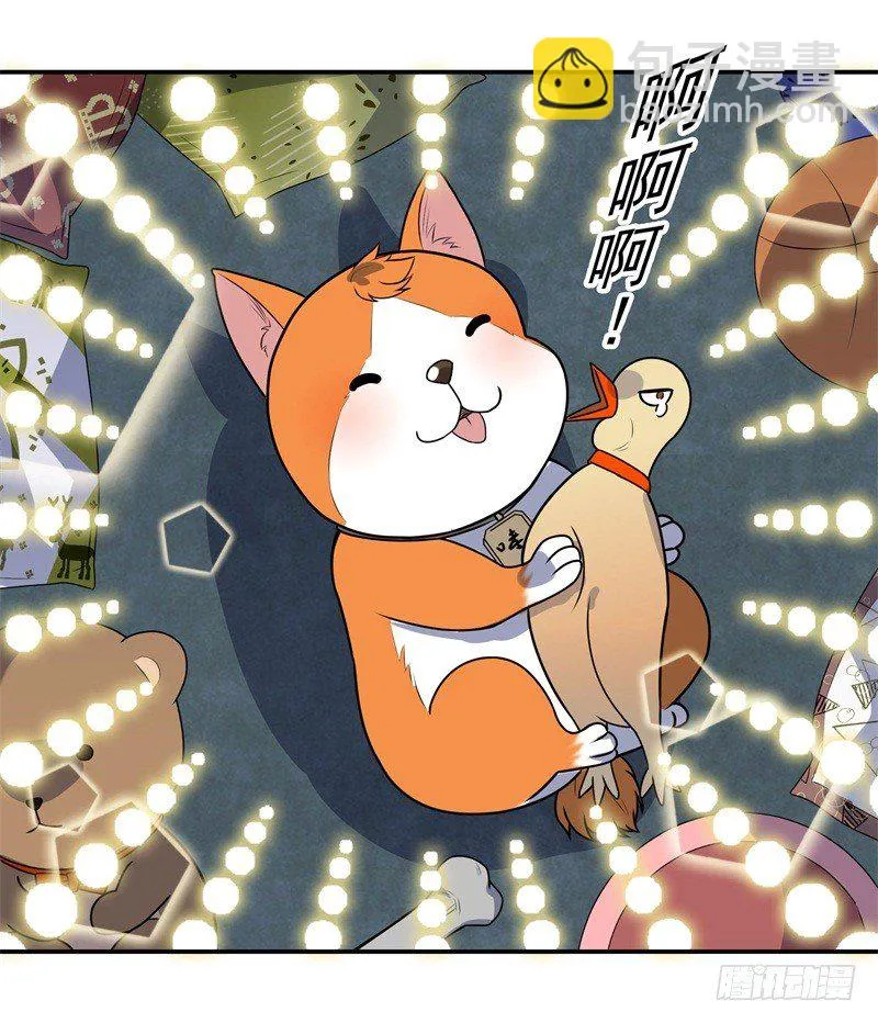 010 是条好狗 第16页