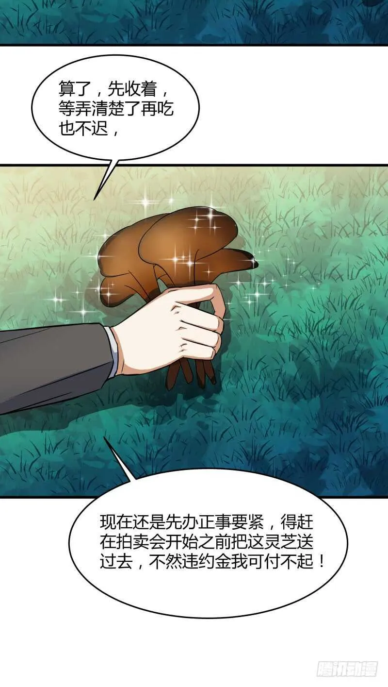 028 虚假的考察 第53页