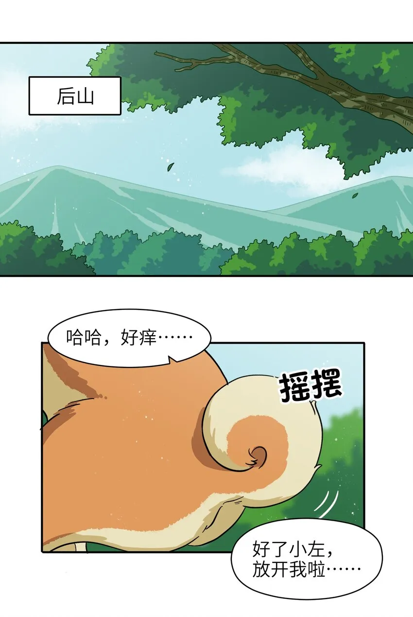 008 夺取力量的禁忌之术 第2页