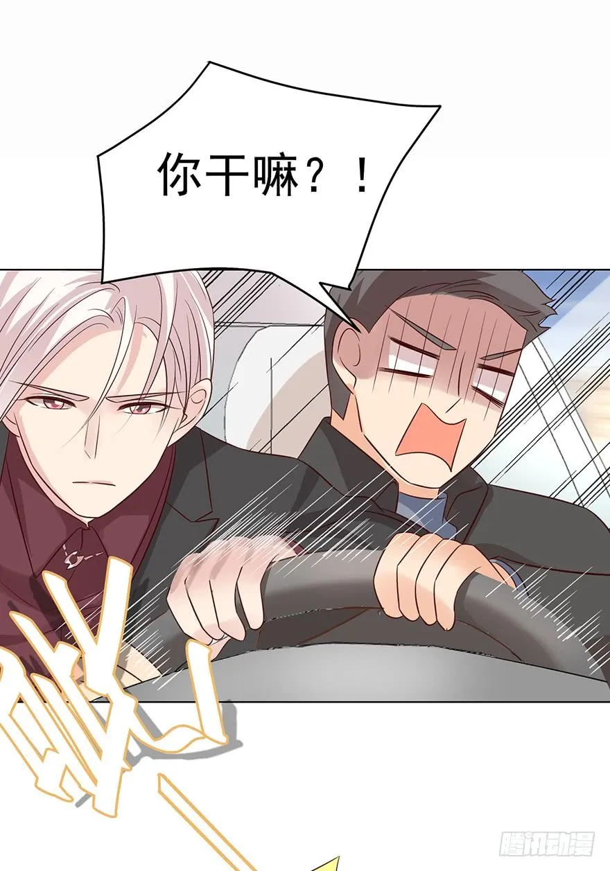 熊来了 第13页