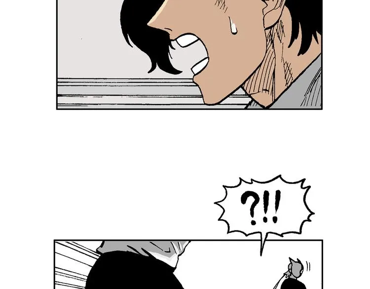 43 第43页