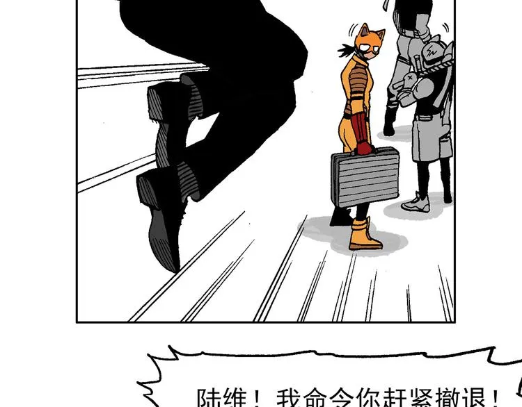 43 第44页
