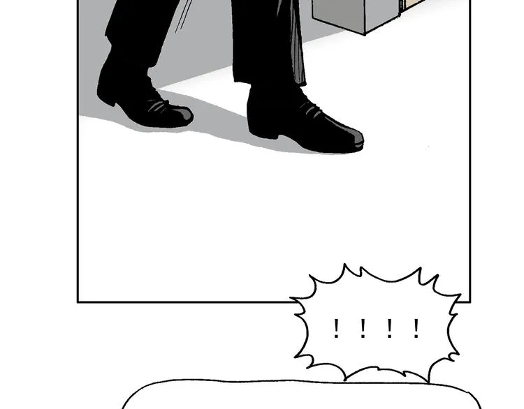43 第118页