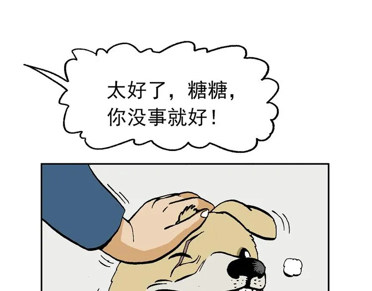 不再躲藏 第71页