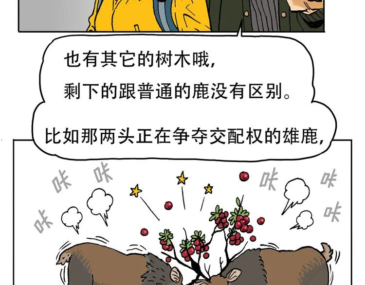 奇妙森林 第9页