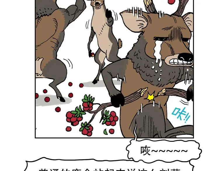 奇妙森林 第12页