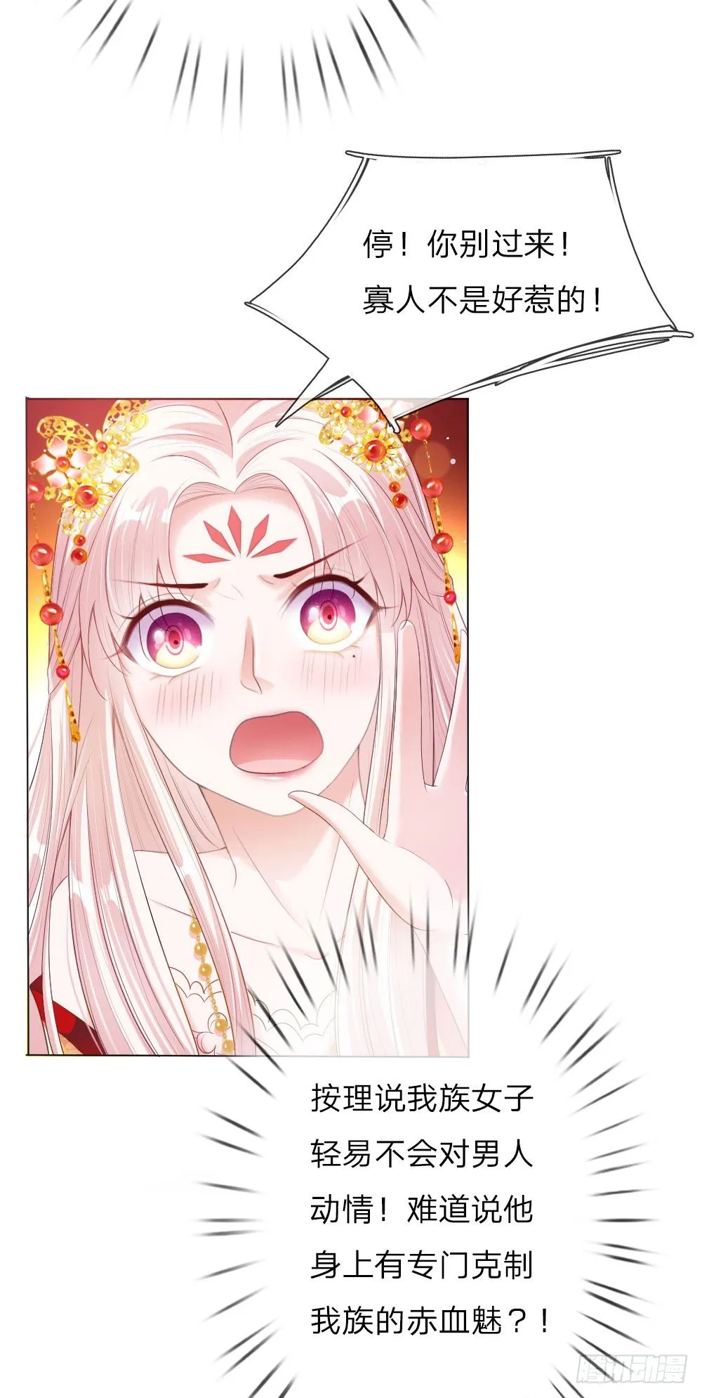 第5话 刺猬—本命护体 第4页