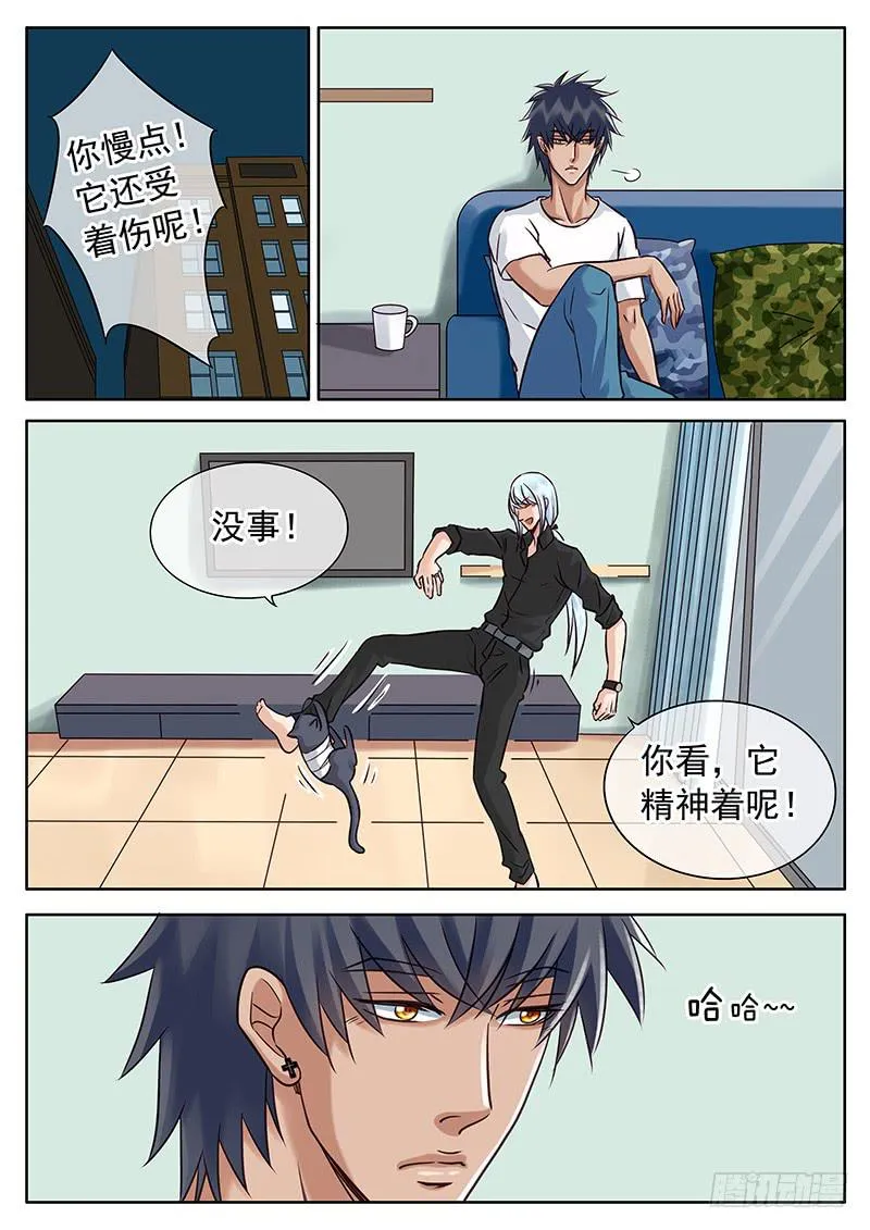 030 逗猫 第1页