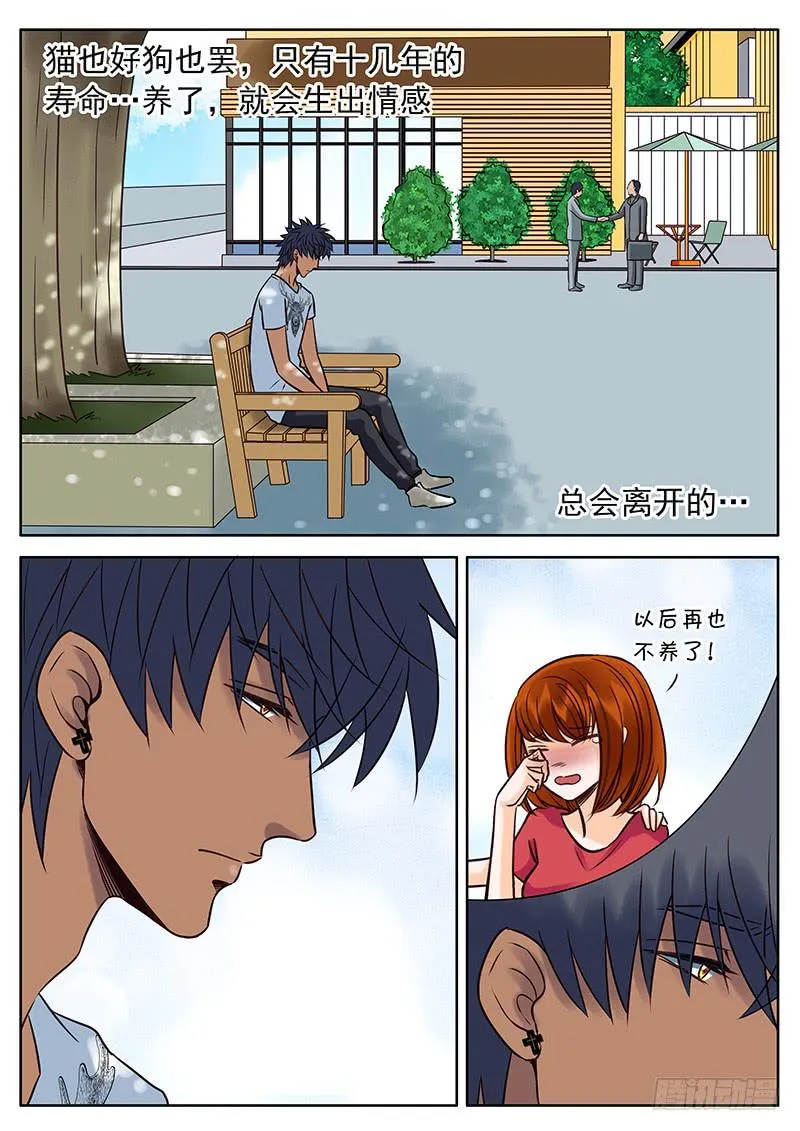 032 失去还是错过？ 第2页