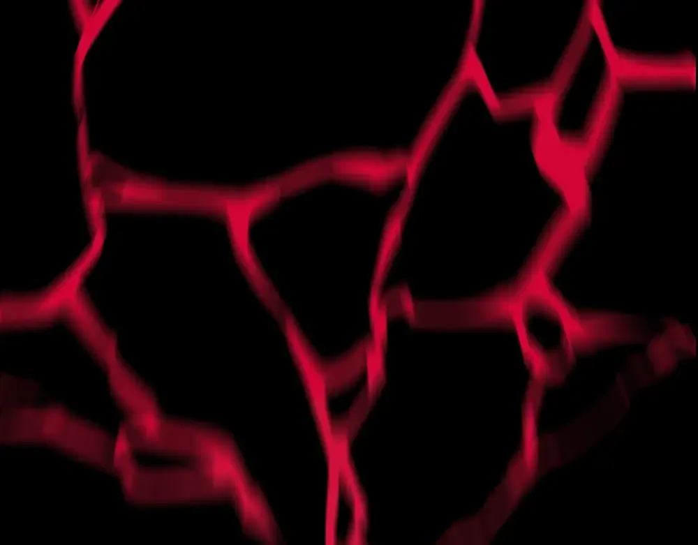 序章：拔剑九亿次，出鞘无悔 第33页
